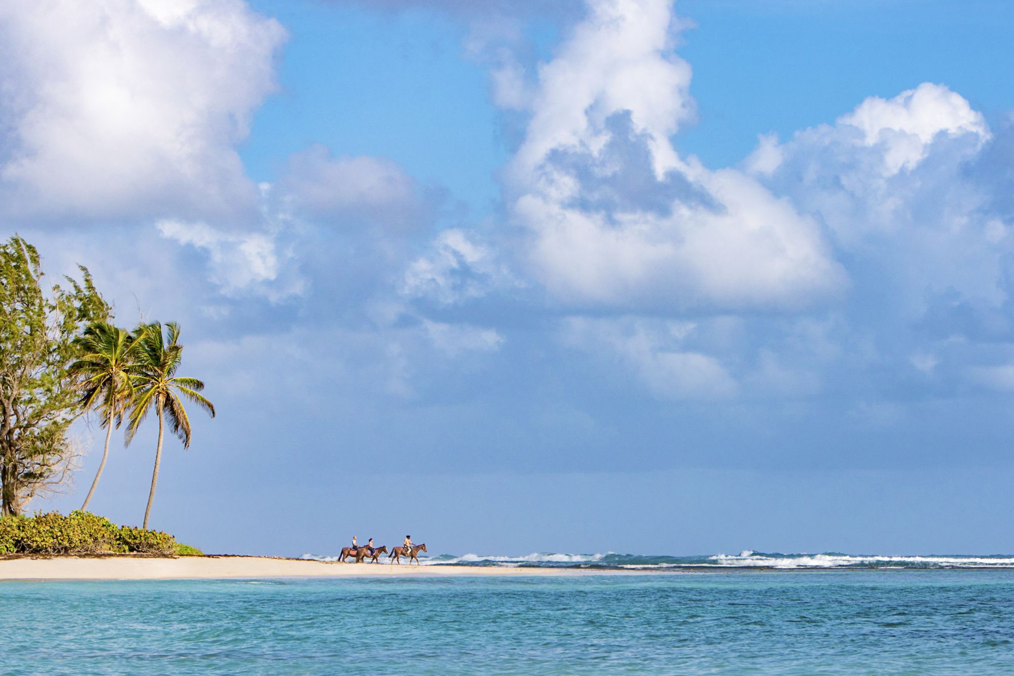 barbados-bath-horseback-adventure-fc027