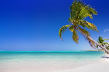 punta-cana-absolut_2.jpg