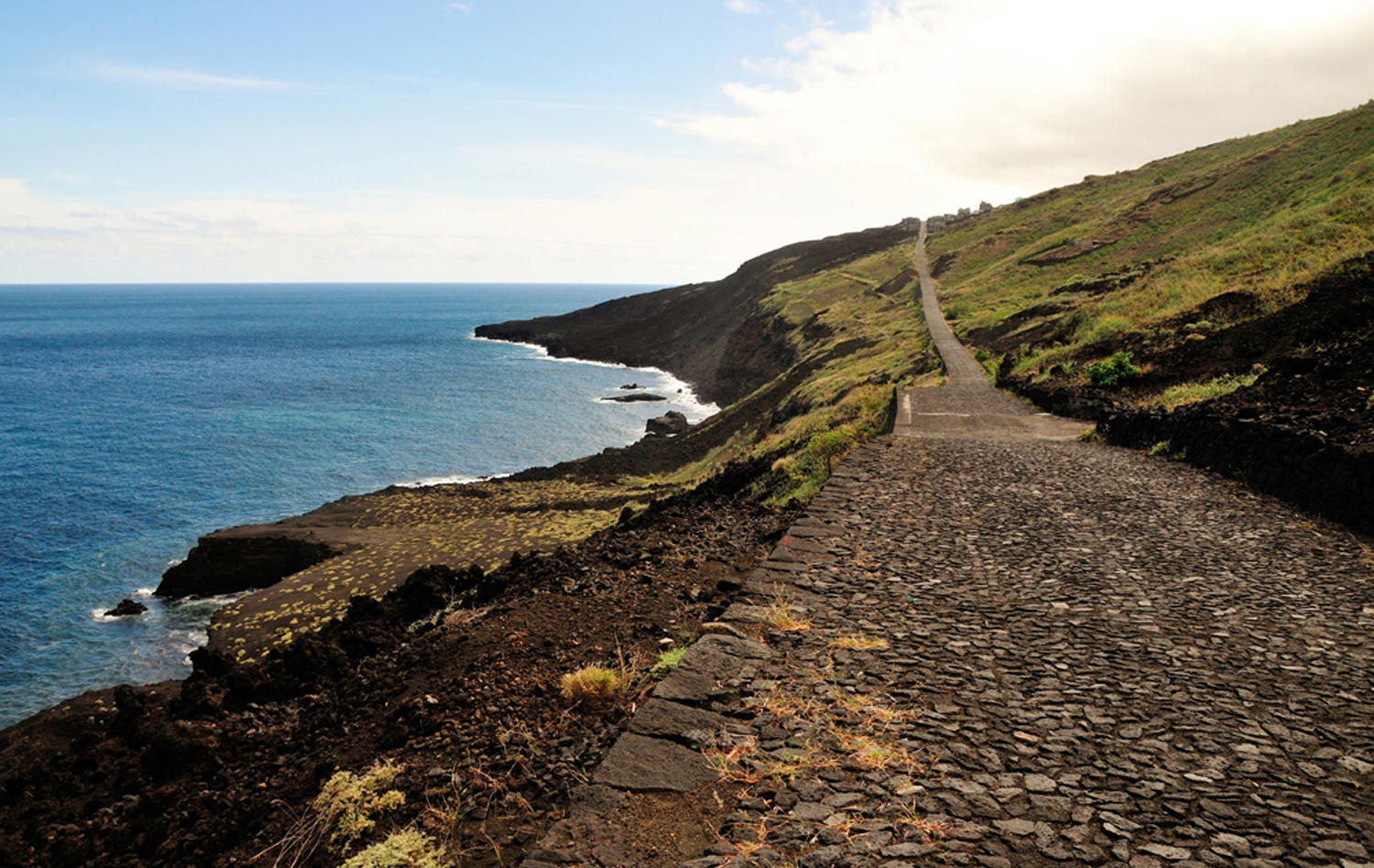 shutterstock_224735872