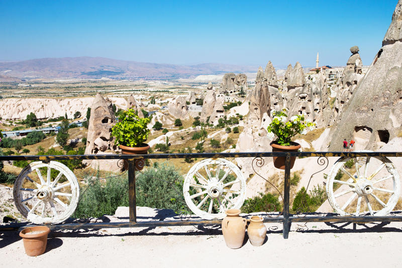 shutterstock_351242324